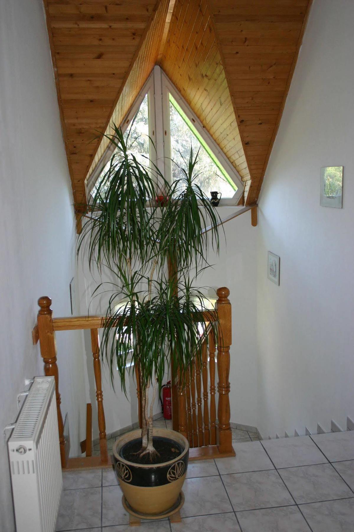 Lorelei Pension Adults Only Gyenesdiás Eksteriør bilde