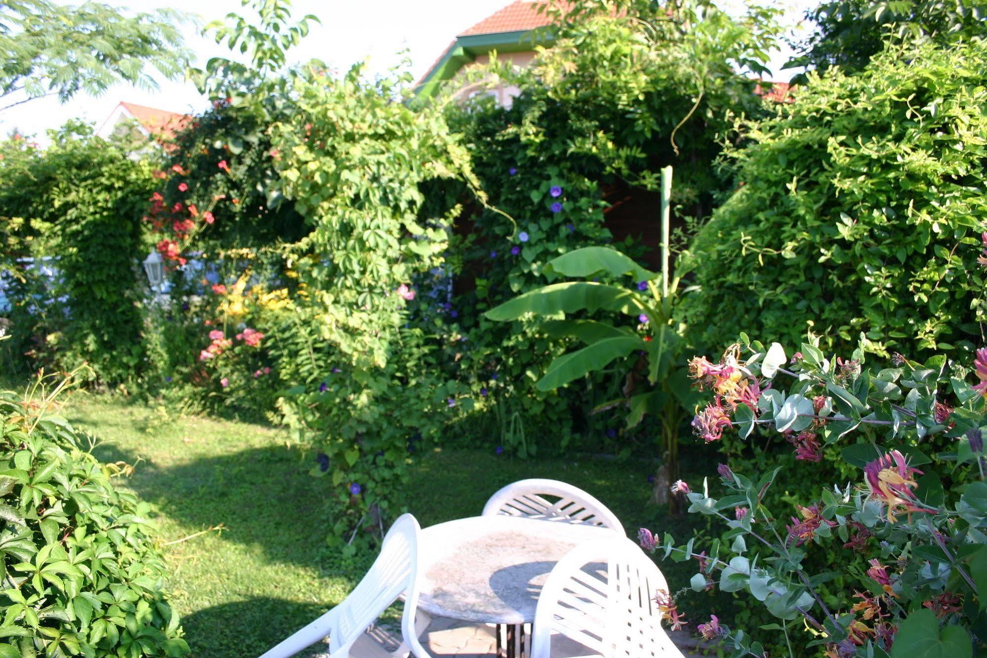 Lorelei Pension Adults Only Gyenesdiás Eksteriør bilde